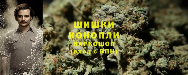 PSILOCYBIN Абдулино