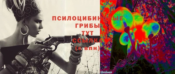 героин Алзамай